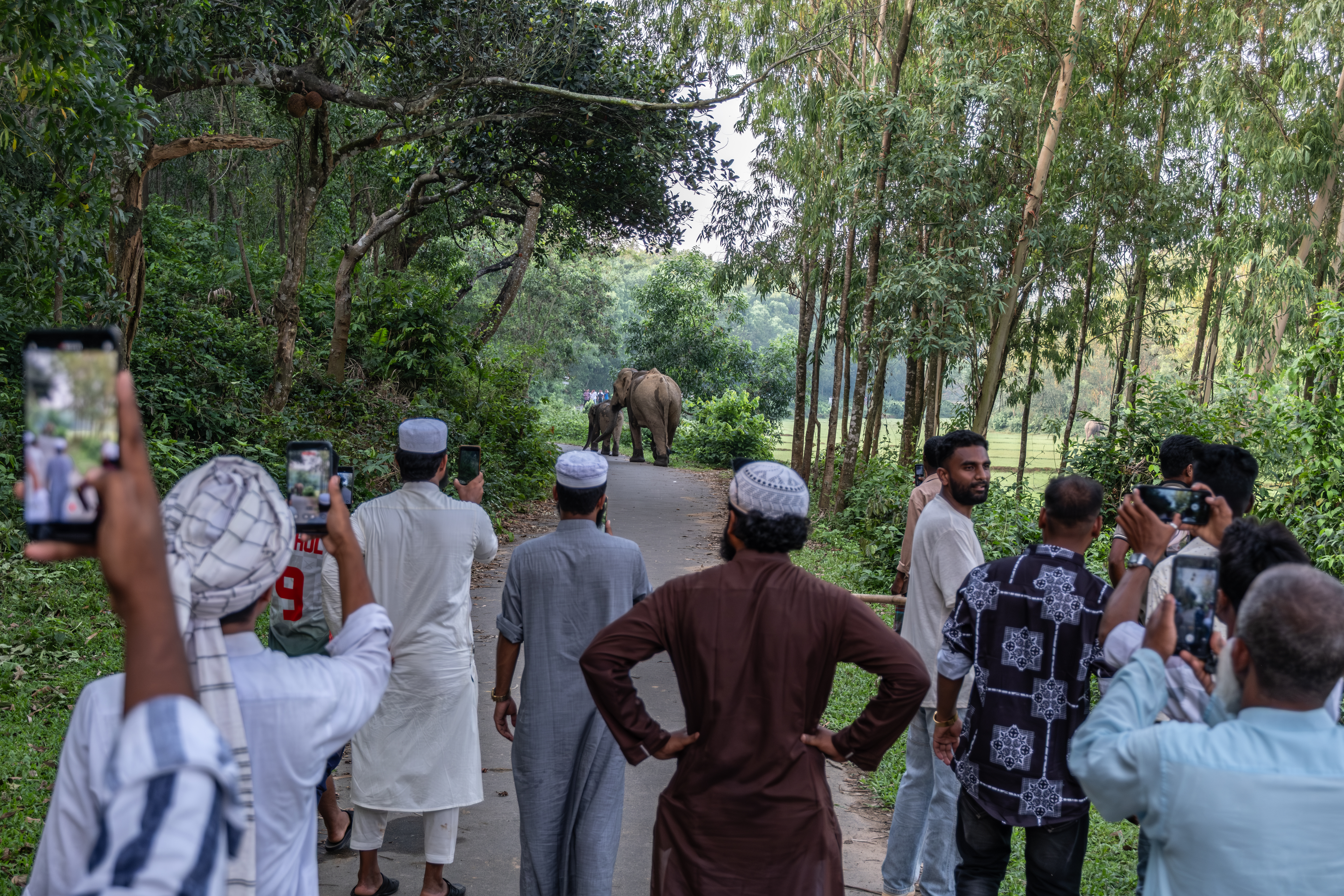 The Cost of Coexistence